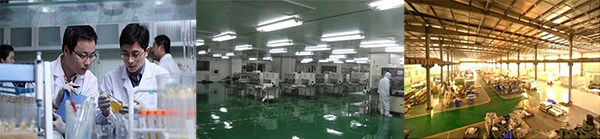 香港正能量，光導(dǎo)照明專業(yè)供應(yīng)商，8年專注